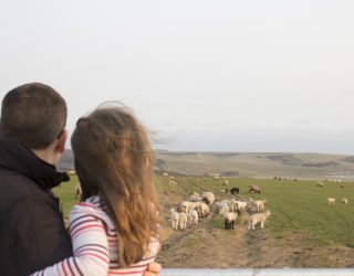 Sussex family